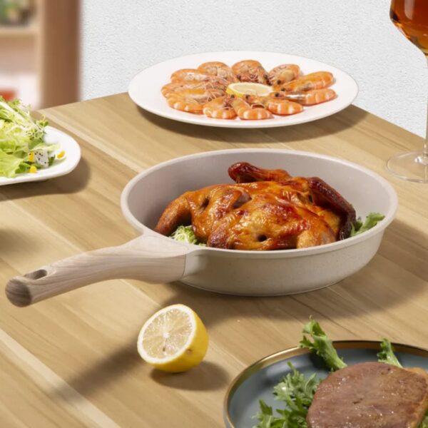 boreine nonstick die cast aluminium fry pan